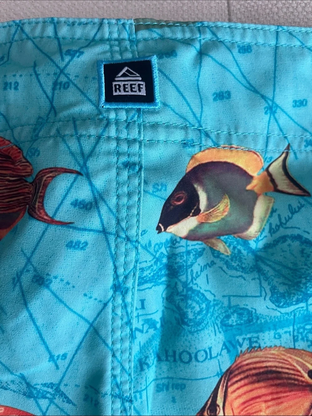 Reef Aqua Tropical Fish Surf Shorts with Multicolor Surfboard Print